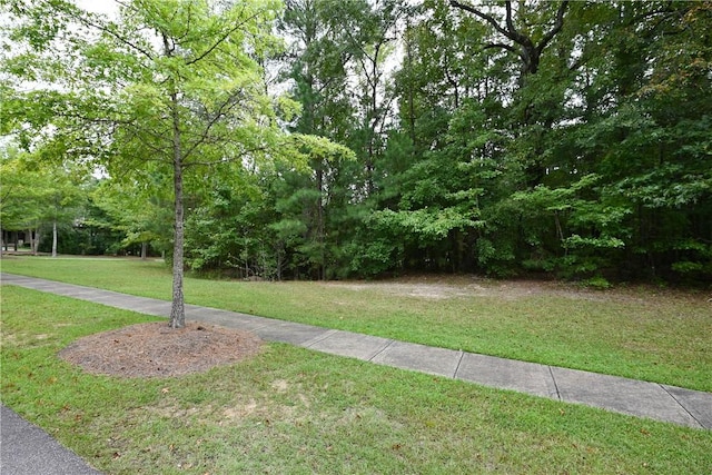 2562 Blackwood Ct, Auburn, AL 36830 - photo 4