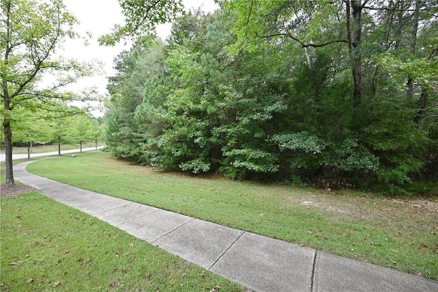 2562 Blackwood Ct, Auburn, AL 36830 - photo 5