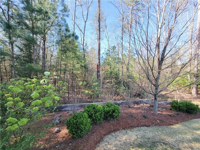 3615 Eagle Nest, Opelika, AL 36801 - view of yard with a forest view