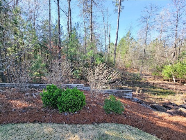 3615 Eagle Nest, Opelika, AL 36801 - view of yard