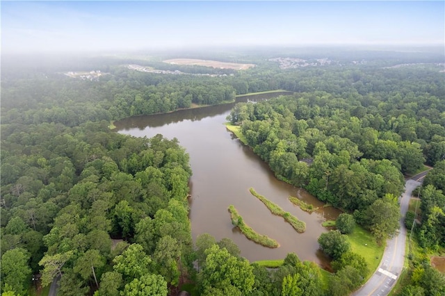 2521 Middle Brook Ln, Auburn, AL 36832 - aerial view of a large body of water and a heavily wooded area