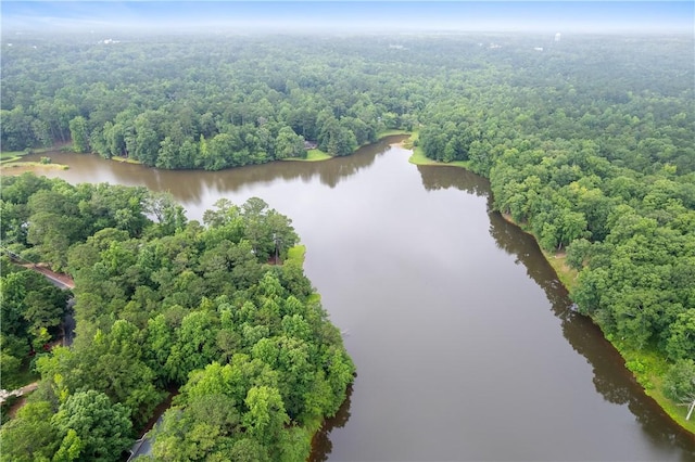 2521 Middle Brook Ln, Auburn, AL 36832 - drone / aerial view of a forest and a nearby body of water