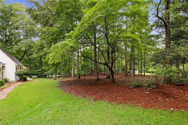2521 Middle Brook Ln, Auburn, AL 36832 - view of grassy yard