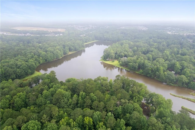 2521 Middle Brook Ln, Auburn, AL 36832 - bird's eye view of a large body of water and a heavily wooded area