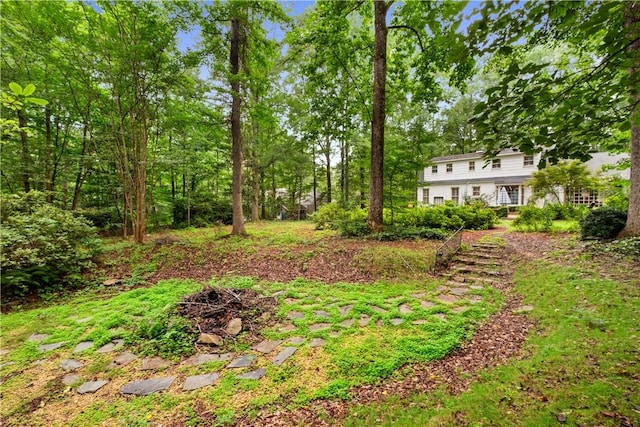 2521 Middle Brook Ln, Auburn, AL 36832 - view of yard