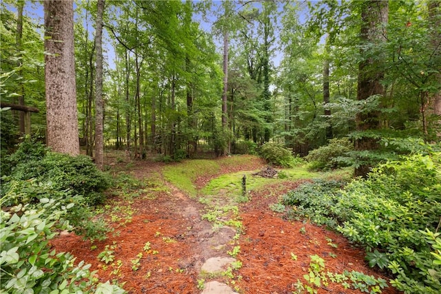2521 Middle Brook Ln, Auburn, AL 36832 - view of yard with a wooded view