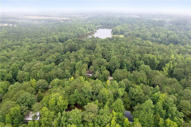 2521 Middle Brook Ln, Auburn, AL 36832 - bird's eye view of a forest and a nearby body of water