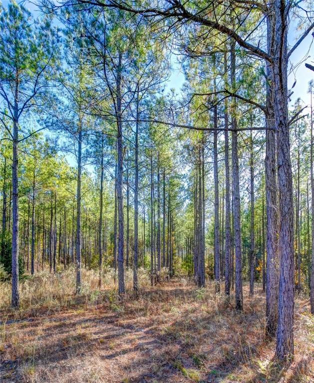 69 Sol Brown Rd, Auburn, AL 36830 - photo 3