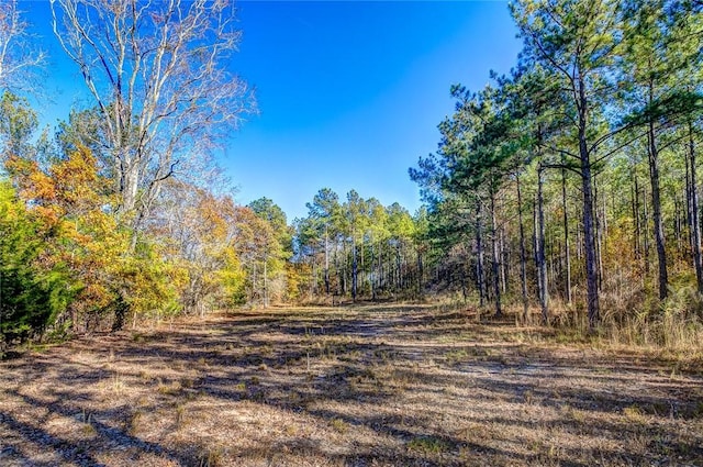 69 Sol Brown Rd, Auburn, AL 36830 - photo 11