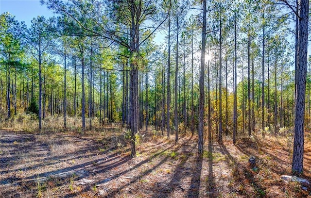 69 Sol Brown Rd, Auburn, AL 36830 - photo 4