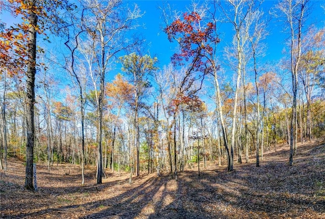 69 Sol Brown Rd, Auburn, AL 36830 - photo 5