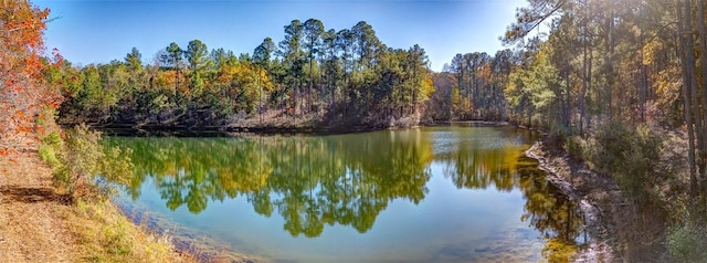 69 Sol Brown Rd, Auburn, AL 36830 - photo 2