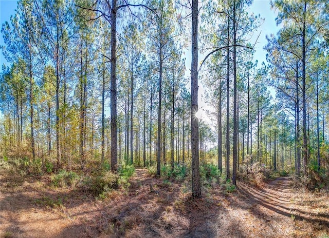 69 Sol Brown Rd, Auburn, AL 36830 - photo 8