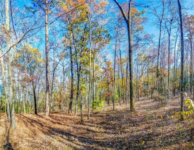 69 Sol Brown Rd, Auburn, AL 36830 - photo 7