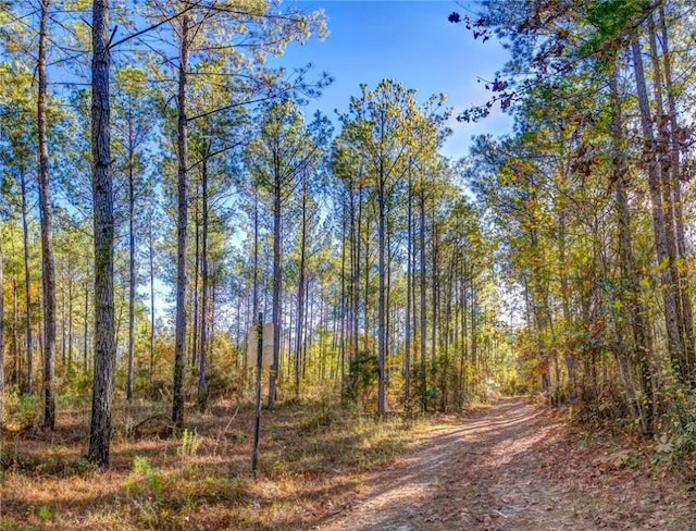 69 Sol Brown Rd, Auburn, AL 36830 - photo 6