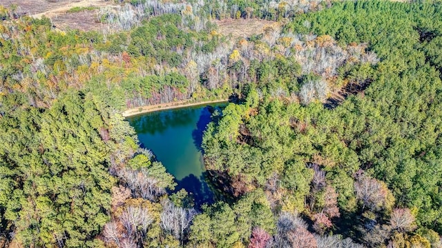 69 Sol Brown Rd, Auburn, AL 36830 - photo 13