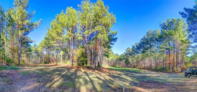 69 Sol Brown Rd, Auburn, AL 36830 - photo 9