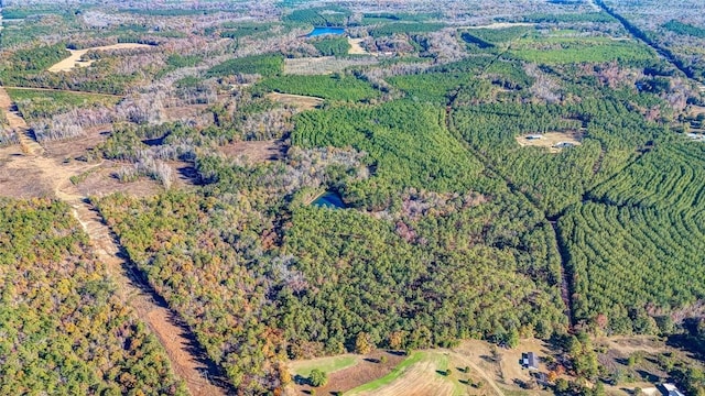 69 Sol Brown Rd, Auburn, AL 36830 - photo 15