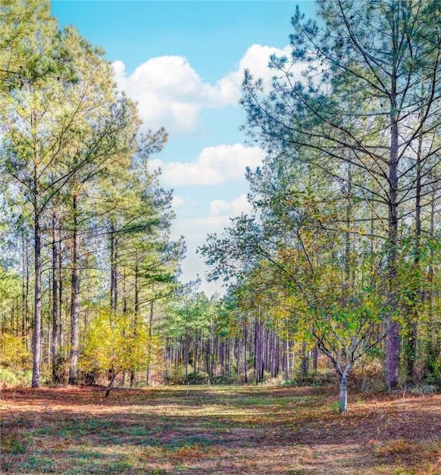 69 Sol Brown Rd, Auburn, AL 36830 - photo 10