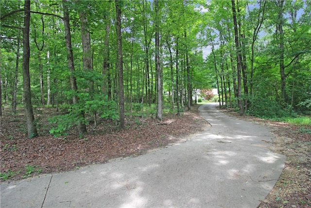 3897 Moores Mill Rd, Auburn, AL 36830 - view of road with a forest view