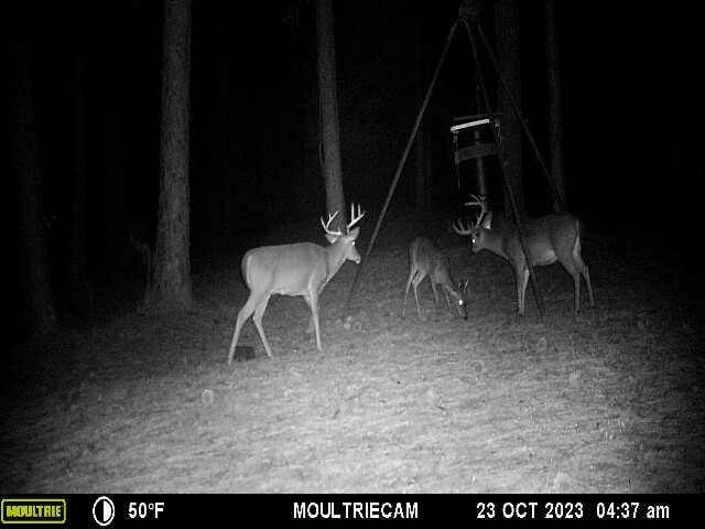 2071 County Road 63, Tuskegee, AL 36083 - photo 47
