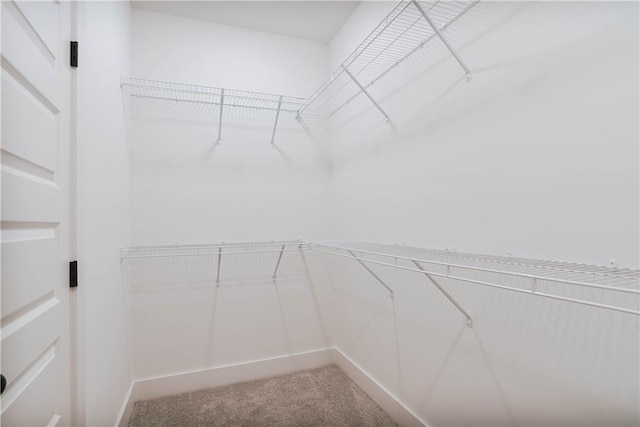 7 Crossing Ct E, Valley, AL 36854 - walk in closet featuring carpet
