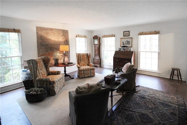 living room featuring dark hardwood / wood-style floors