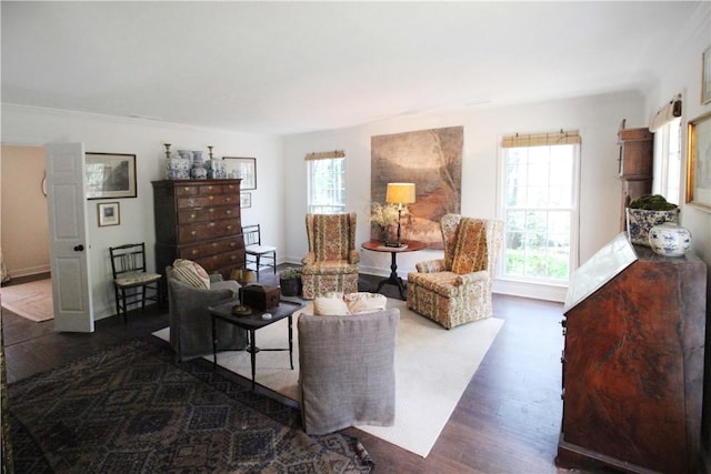 living room with plenty of natural light and dark hardwood / wood-style floors