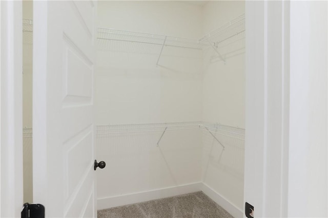 109 Hunters Way, Opelika, AL 36801 - spacious closet featuring carpet