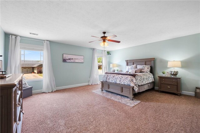 304 Marthas Ct, Opelika, AL 36801 - bedroom with multiple windows, carpet, baseboards, ceiling fan, and a textured ceiling