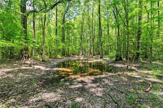 1515 County Road 63, Tuskegee, AL 36083 - view of wooded area