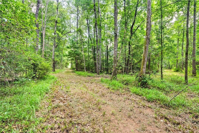1515 County Road 63, Tuskegee, AL 36083 - view of woods