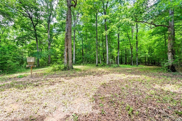 1515 County Road 63, Tuskegee, AL 36083 - view of yard with a view of trees