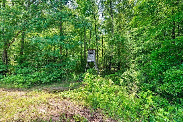 1515 County Road 63, Tuskegee, AL 36083 - exterior view of a heavily wooded area