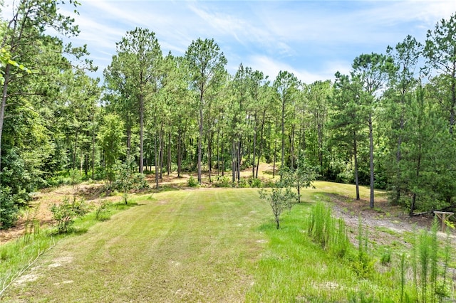 1515 County Road 63, Tuskegee, AL 36083 - view of grassy yard