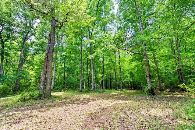 1515 County Road 63, Tuskegee, AL 36083 - view of woods