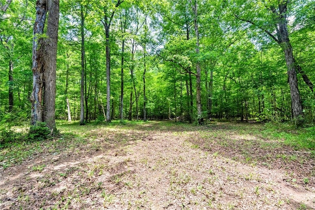 1515 County Road 63, Tuskegee, AL 36083 - view of wooded area