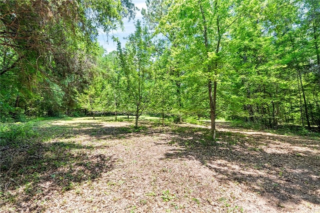 1515 County Road 63, Tuskegee, AL 36083 - view of yard with a wooded view