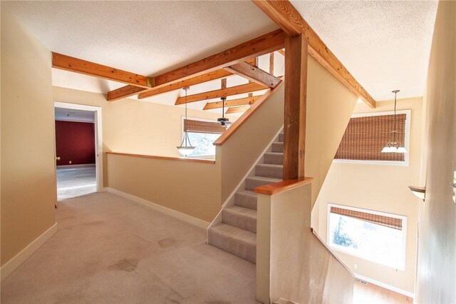 stairs featuring beamed ceiling, a textured ceiling, and carpet floors