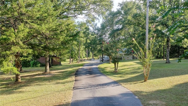 view of home's community with a yard