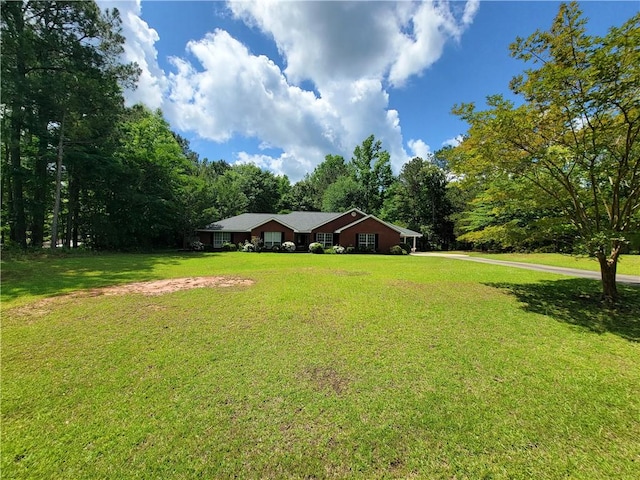 2580 Lee Road 148, Opelika, AL 36804 - view of green lawn with driveway and a view of trees