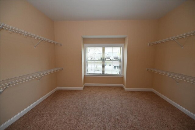 821 Whittington St, Auburn, AL 36832 - photo 19