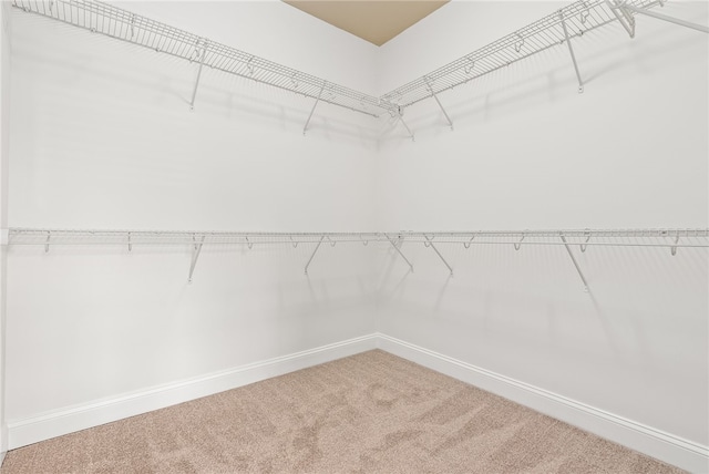 866 Stanton Dr, Auburn, AL 36380 - photo 20