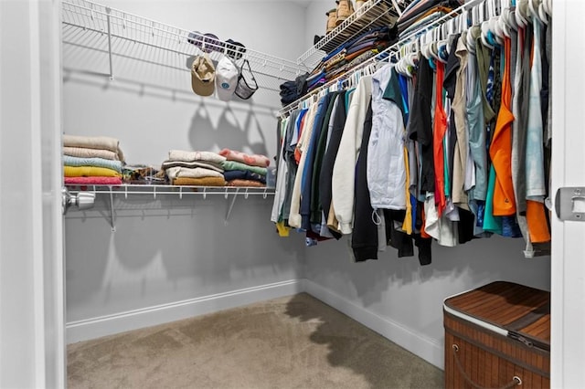 walk in closet featuring carpet