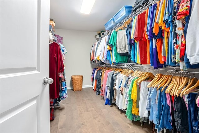 712 Mcdonald Dr, Opelika, AL 36801 - walk in closet with wood finished floors