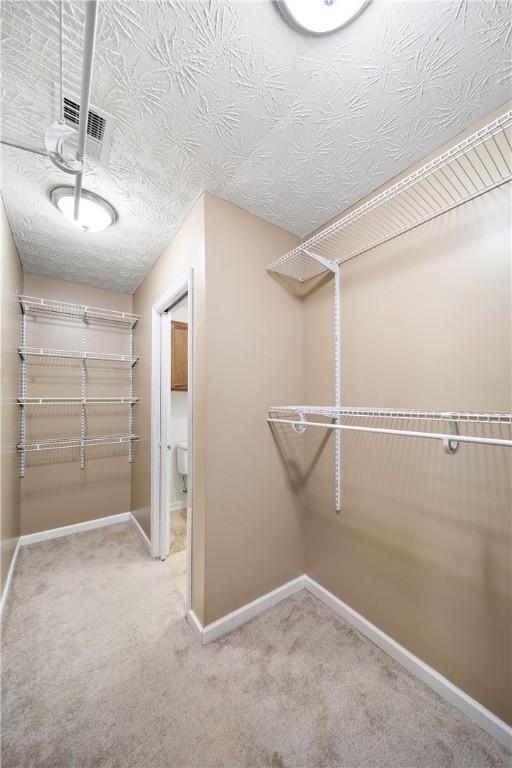 walk in closet with visible vents and carpet