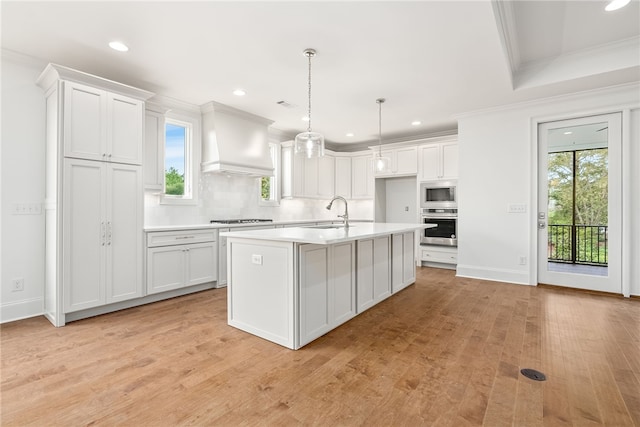 kitchen featuring white cabinetry, stainless steel appliances, and custom exhaust hood