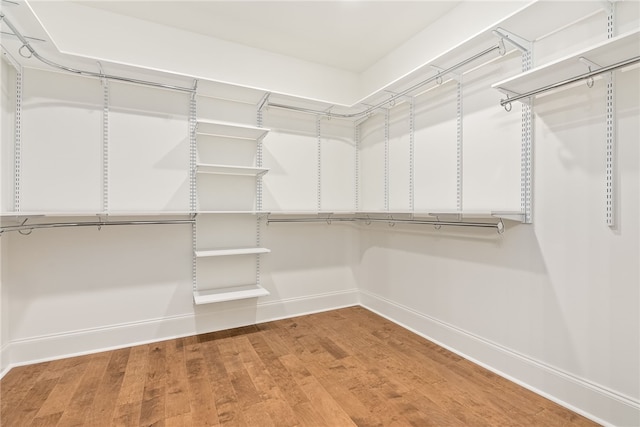 walk in closet featuring wood-type flooring