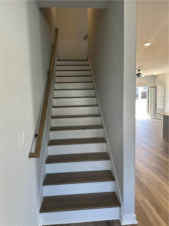 staircase featuring ceiling fan and wood-type flooring