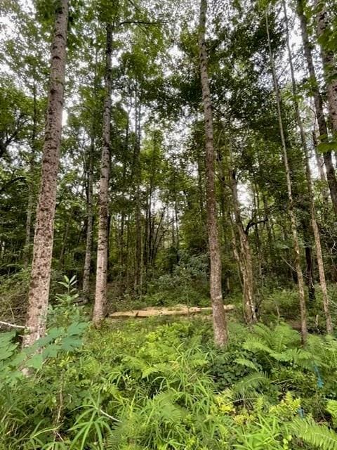 3312 Lee Road 40, Salem, AL 36874 - photo 25